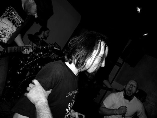 2011 FEVRIER KARNIVORACE
